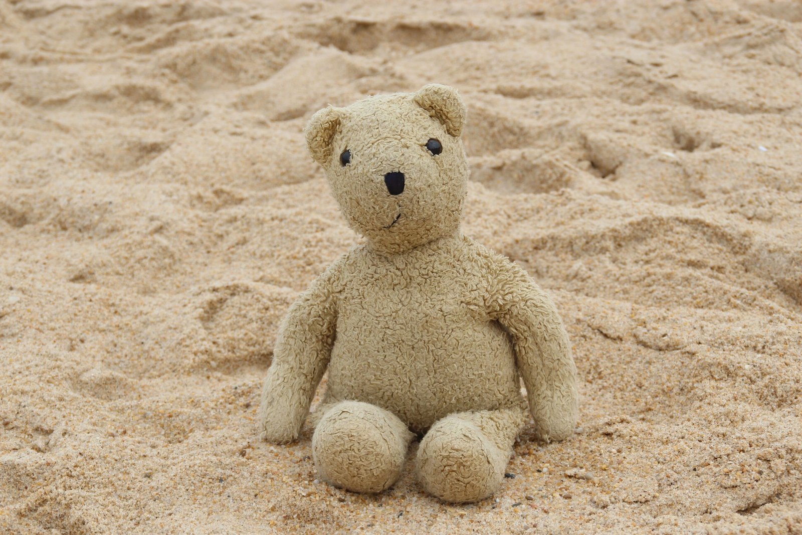 A lone teddy bear sits on a sandy beach, evoking nostalgia and childhood memories.